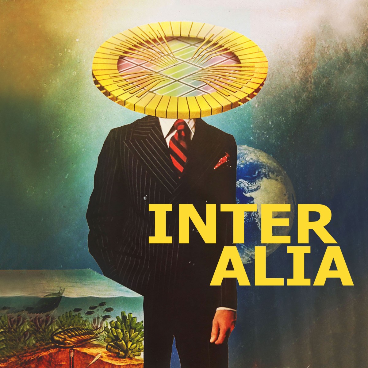 Inter alia. Inter Alia examples.